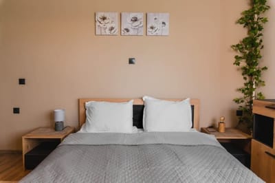 Eagles' Bridge  1BD flat with desk