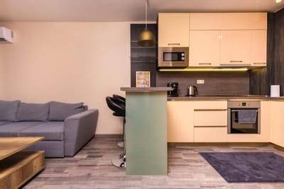 Modern and Cozy 1BD in the Top Centre of Plovdiv