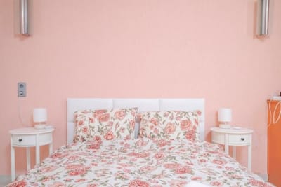 Cozy Apartment near Vitosha Street