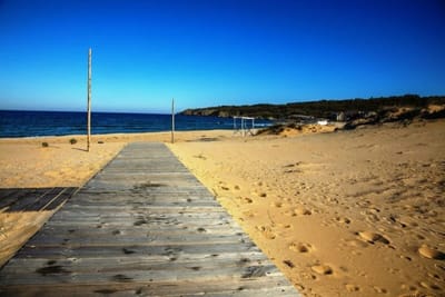 Green Life One-Bedroom Apartment with Sea View