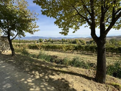 Zornitza Family Estate - Farm