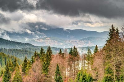 Winter Heaven Grand Monastery Pamporovo