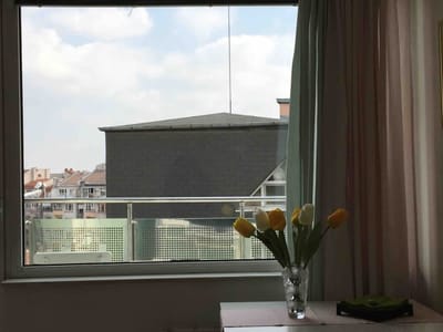 Tony's Sunny Rooftop Studio