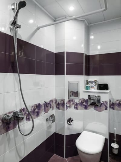 Bright & Cozy 1BD Apartment close to South Park