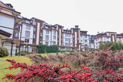 Riverside 1BR in Downtown, Near Ski Lift