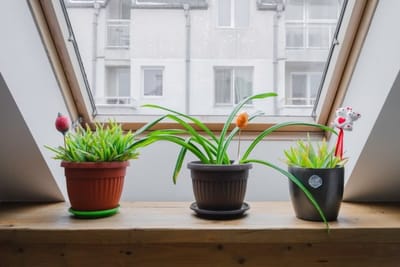 Charming & Cozy 2BD Apartment with Natural Light