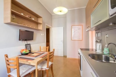 Beautiful Business Apartment - Ivan Denkoglu Str