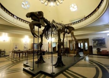 SOFIA UNIVERSITY ST. KLIMENT OHRIDSKI