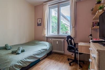 The Top Spot - Cute Little Studio in the Center