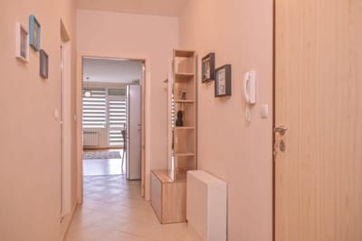 Vitosha View One Bedroom Apartment