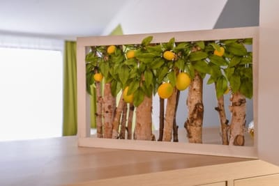 The Spot - fully equipped, central, modern studio