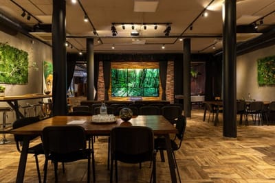 Cinematic Co-working Space HQ in Sofia