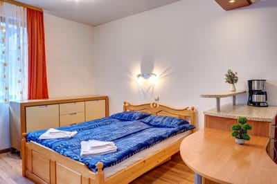 Cozy Studio in Hotel Laplandia, Pamporovo