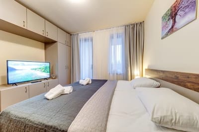 Cozy Studio in Grand Resort Pamporovo