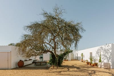 Casa da Volta — Contemporary Walled Villa with Courtyards & Exceptional Natural Light