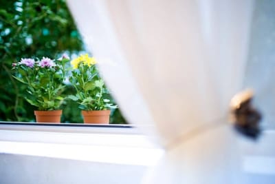 Top Center - Designer studio 1 min to Vitosha bul