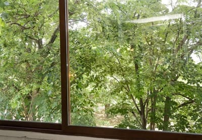 Chayka Charm Cozy 1BD Apartment in Varna