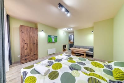 Cozy Mint Studio in Grand Resort Pamporovo