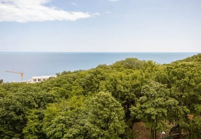 Cozy Retreat with Sea View & Balcony | Nikea Park