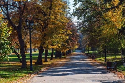 Sofia’s Best Area - Workspace+300 MBPS WiFi