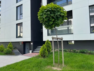 Gran Capital - Vodolei Rose Garden, Free Parking