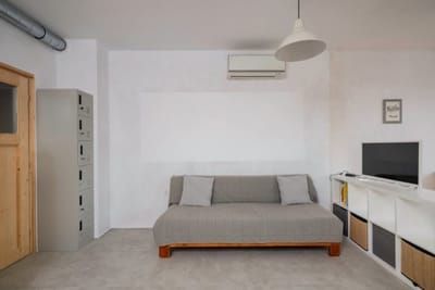 Bright and Cozy 1BD Apartment plus Desk