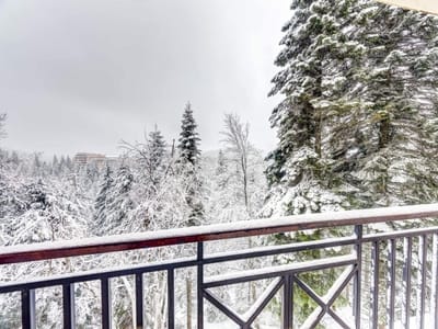 1BD Mountain Getaway in Pamporovo with Parking