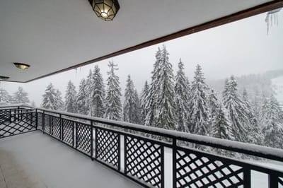 Colors of Nature in Stylish Flat in Pamporovo