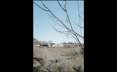 Cascina Elena Winery