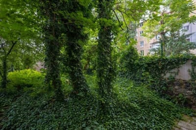 Elegant Escape in The Heart of The City