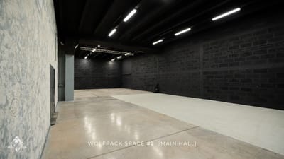 Wolfpack Space #2