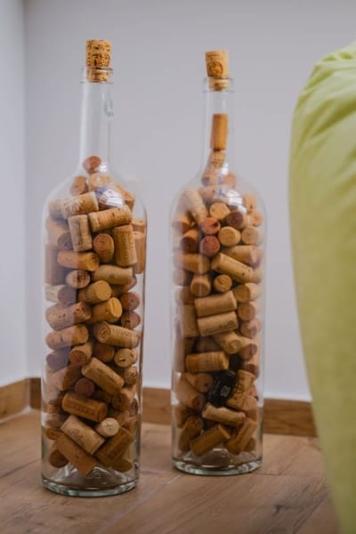 Green Haven Under the Roof