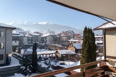 Cozy and Spacious House in The Heart of Bansko
