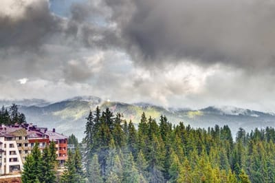 Alpine Comfort at Grand Monastery