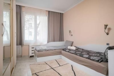 Cozy Apartment near Vitosha Street