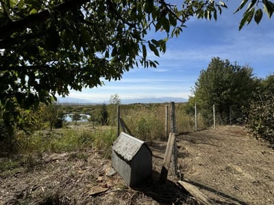 Zornitza Family Estate - Farm