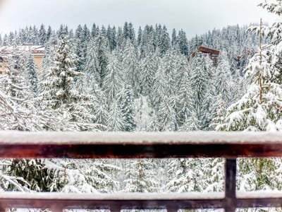 Alpine Glow Studio with Parking, Pamporovo