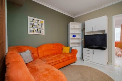 Cozy Apartment near Vitosha Street