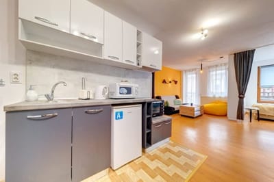 Colorful Retreat  1BD next to the slopes