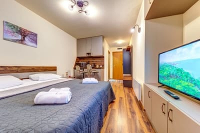 Cozy Studio in Grand Resort Pamporovo