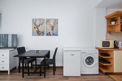 Charming Studio on Vitosha Street