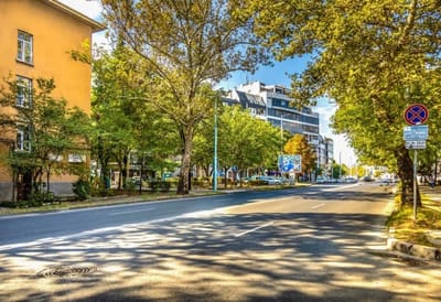 Chic and Charming 2BD Flat in the Heart of Plovdiv