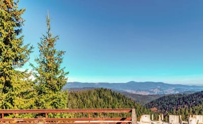 Relaxing Mountain Getaway in Cozy Studio