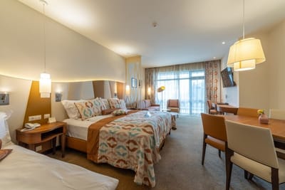 VIP Room in the Flamingo Grand Hotel