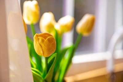 Happy People Plovdiv 1-BD Apartment - White