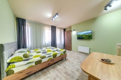 Cozy Mint Studio in Grand Resort Pamporovo