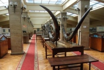 SOFIA UNIVERSITY ST. KLIMENT OHRIDSKI